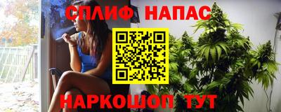 мдпв Моздок