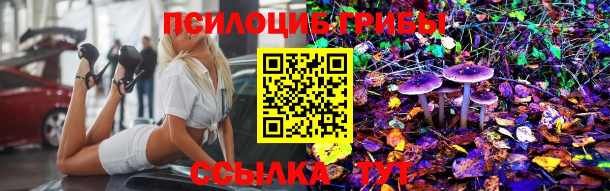 Галлюциногенные грибы MAGIC MUSHROOMS  хочу   Вход с VPN  Знаменск  Псилоцибиновые грибы мухоморы 